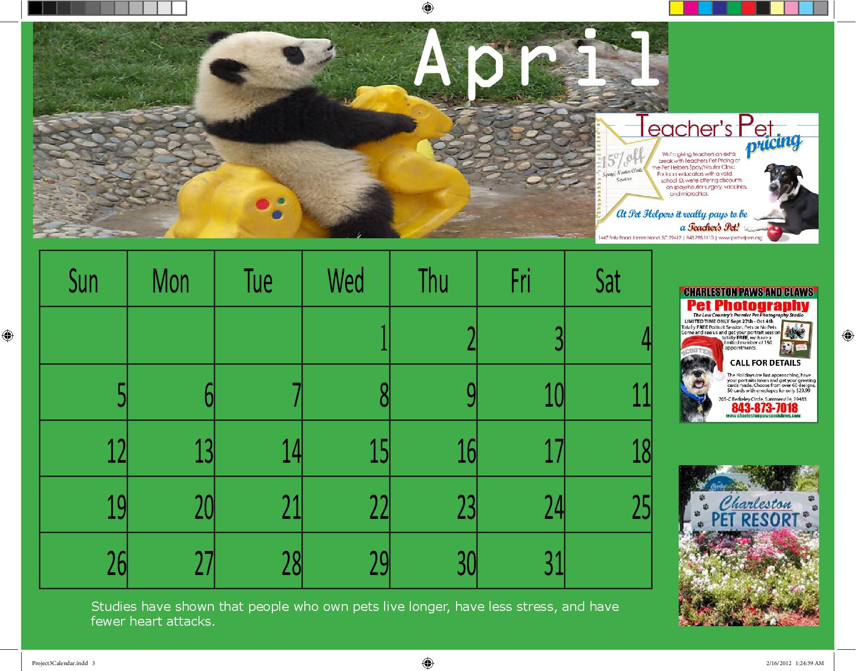 Panda Calendar Full